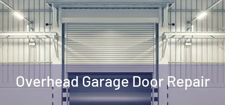 Overhead Garage Door Repair